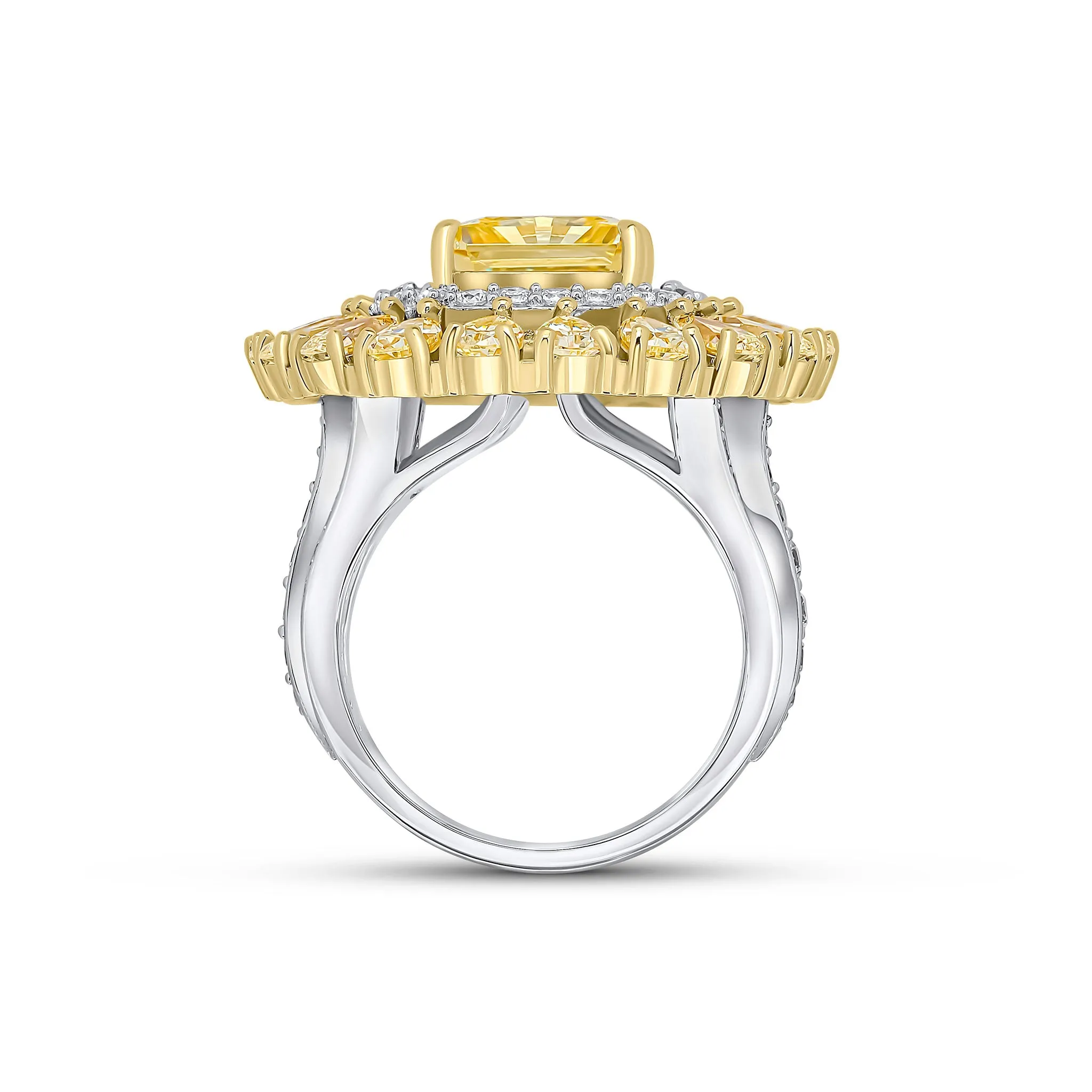 Amy Ring