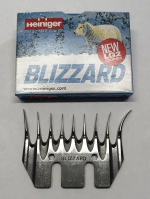 Blizzard