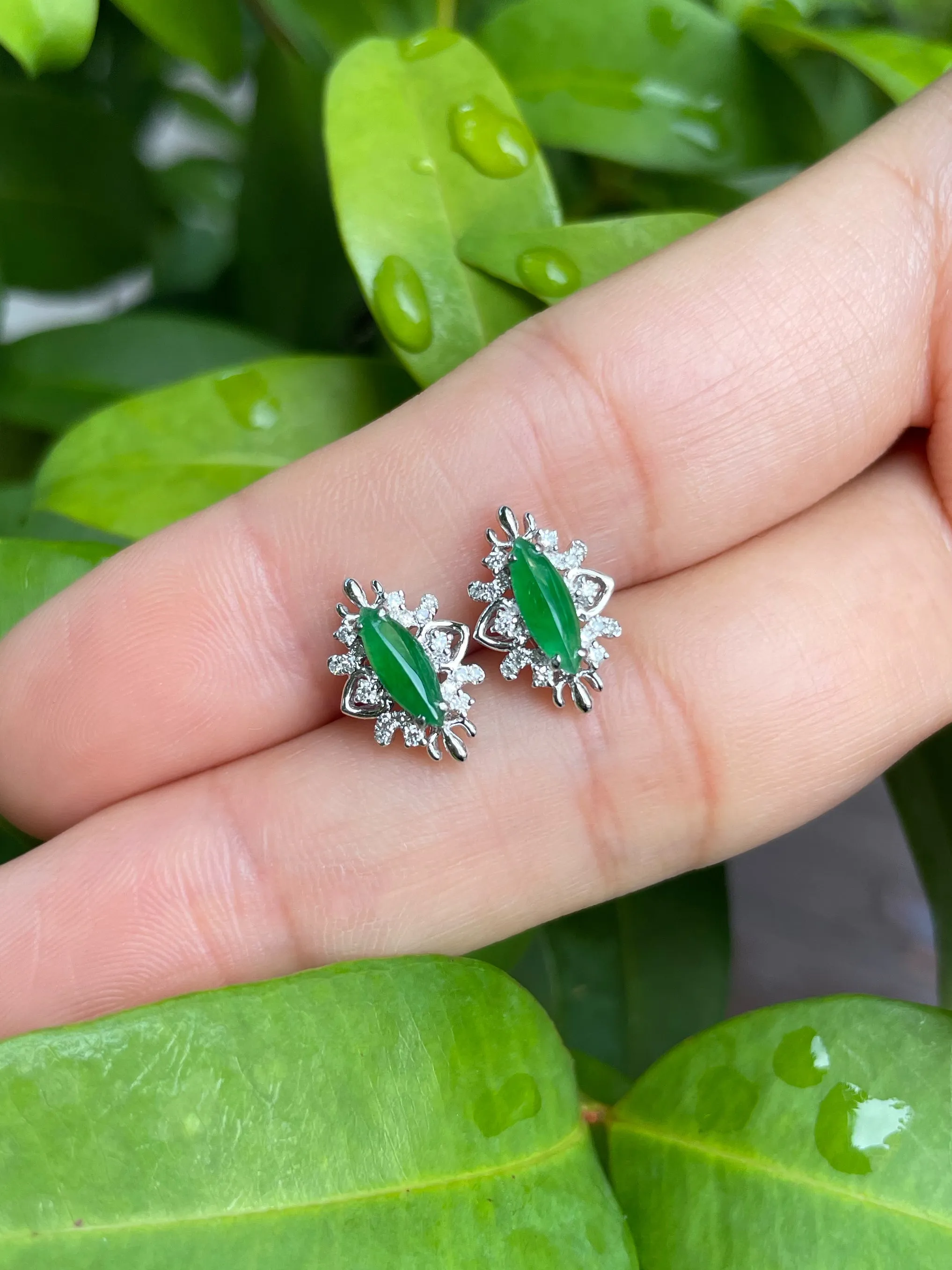 Green Jade Earrings - Marquise Cut (NJE067)