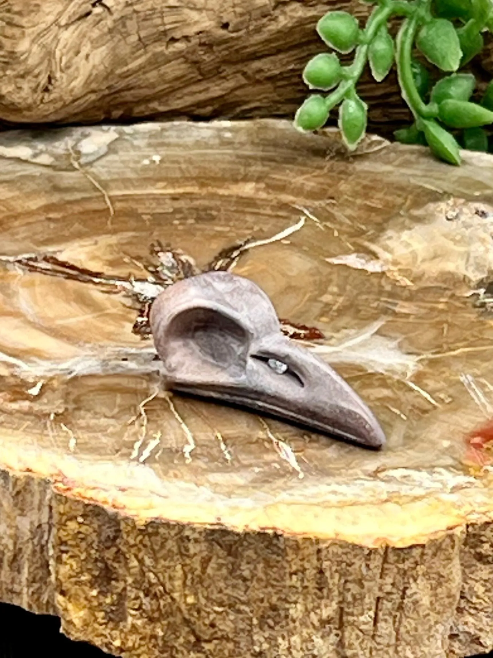 Raven Skull Carving