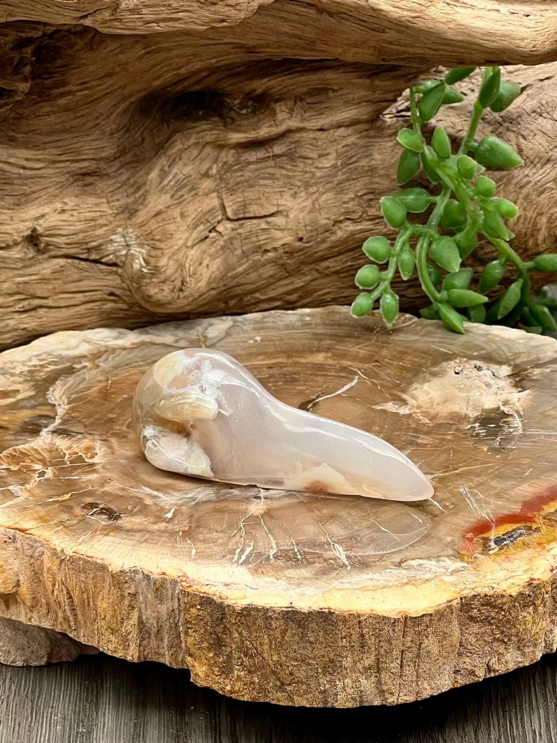Raven Skull Carving