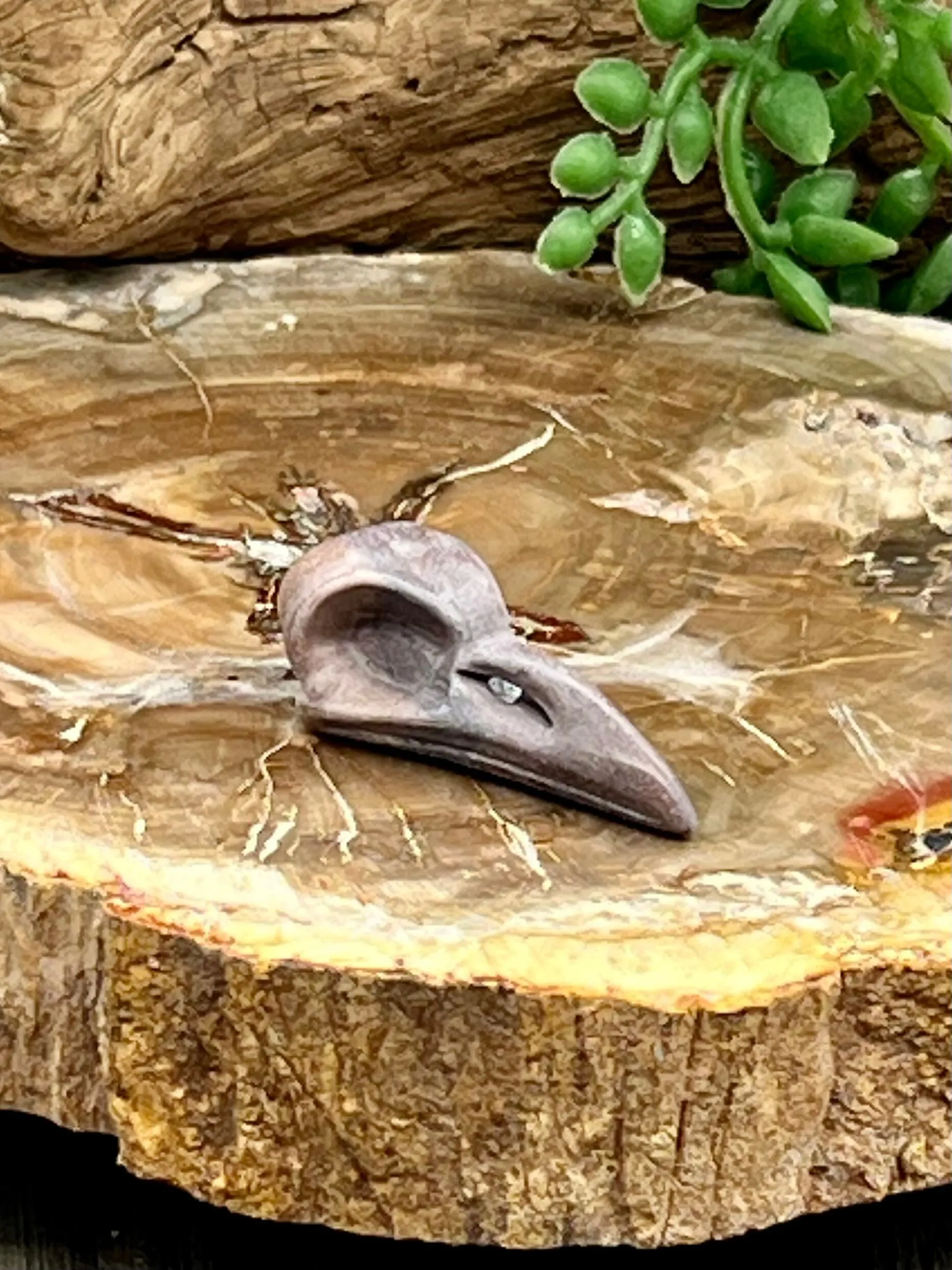 Raven Skull Carving