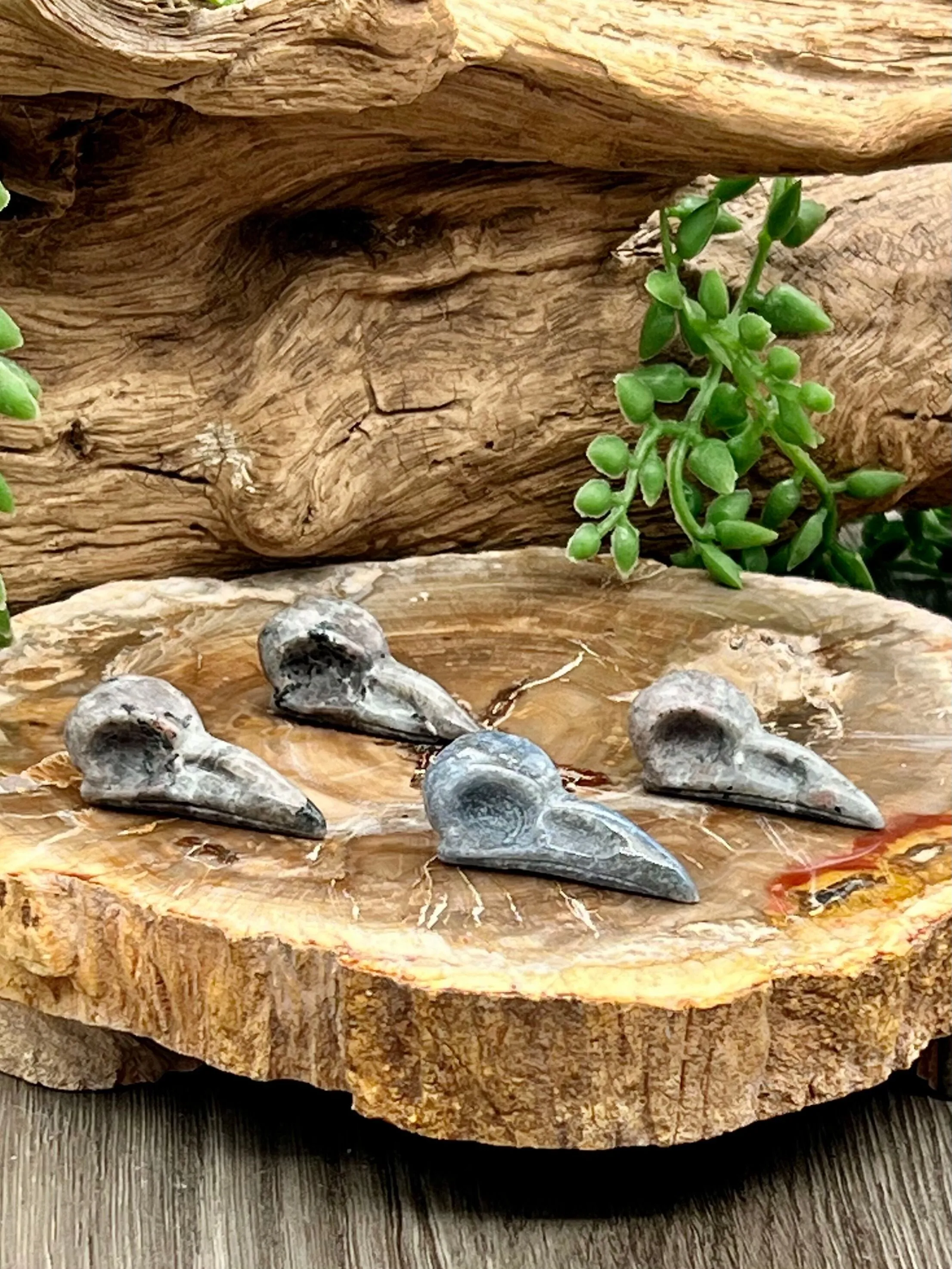 Raven Skull Carving