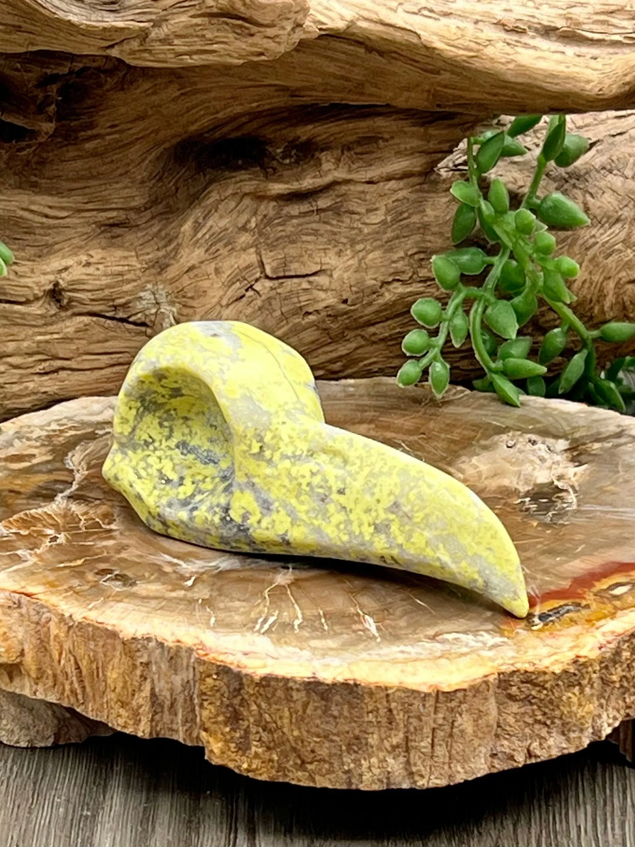 Raven Skull Carving