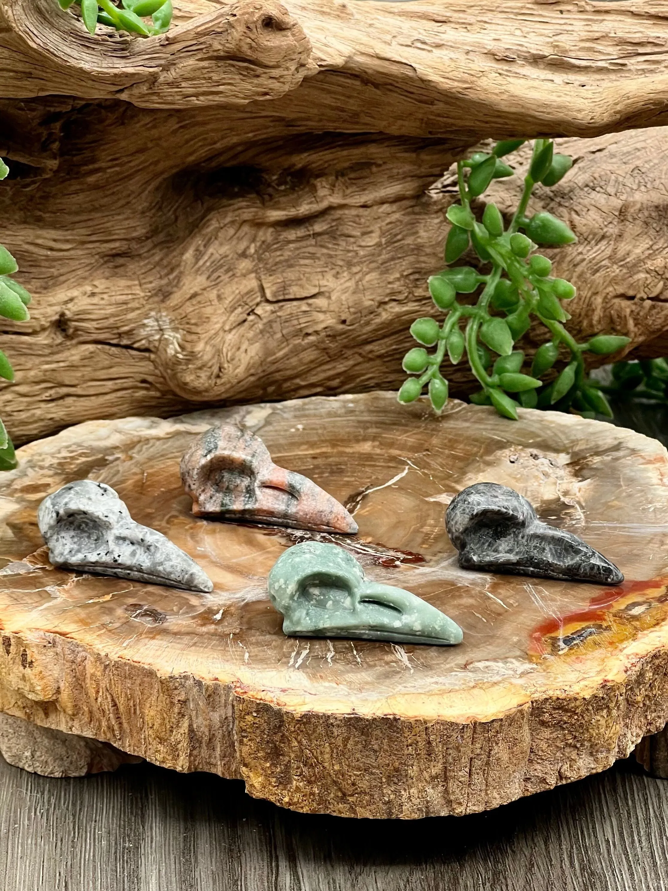 Raven Skull Carving