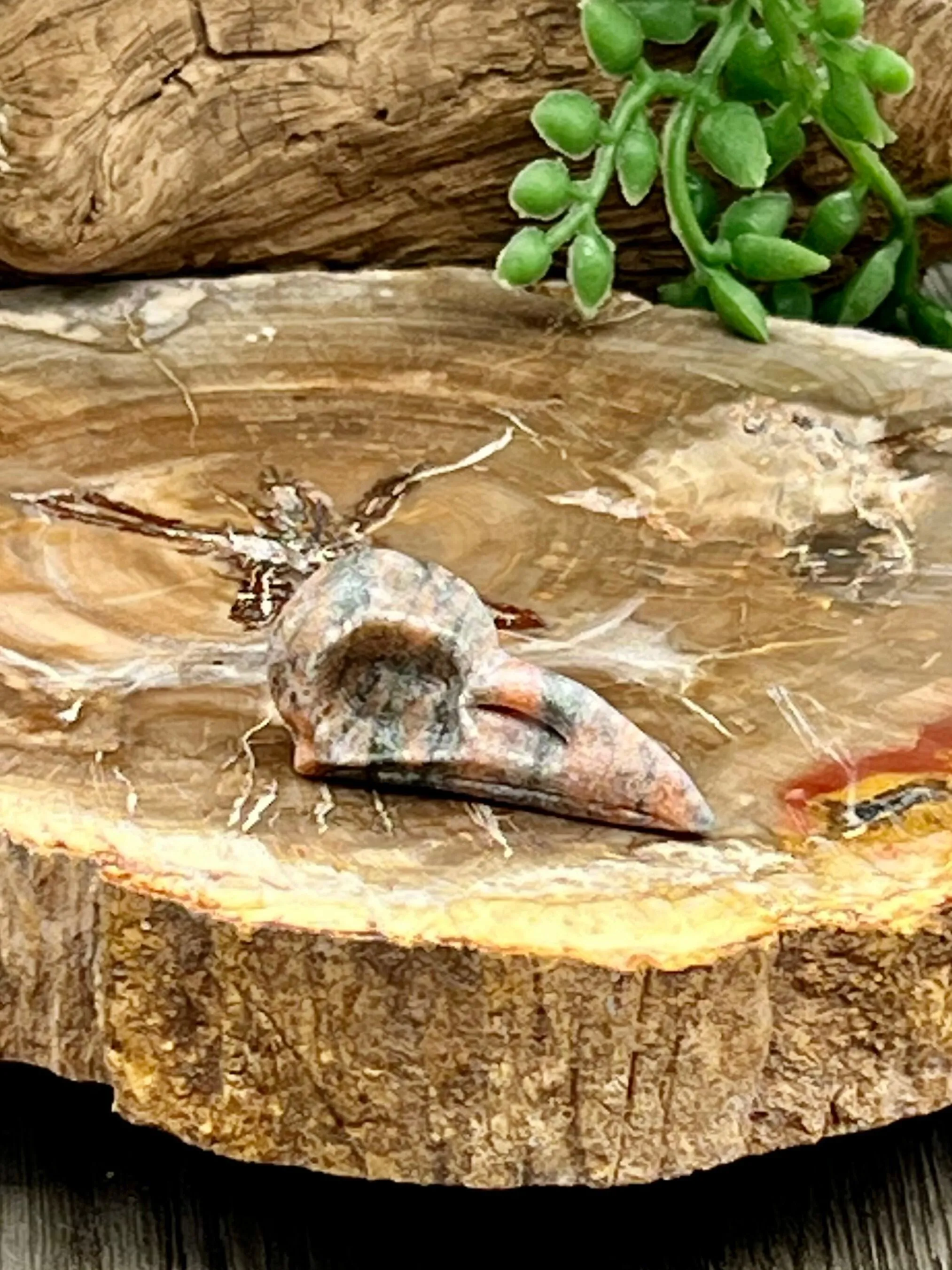 Raven Skull Carving