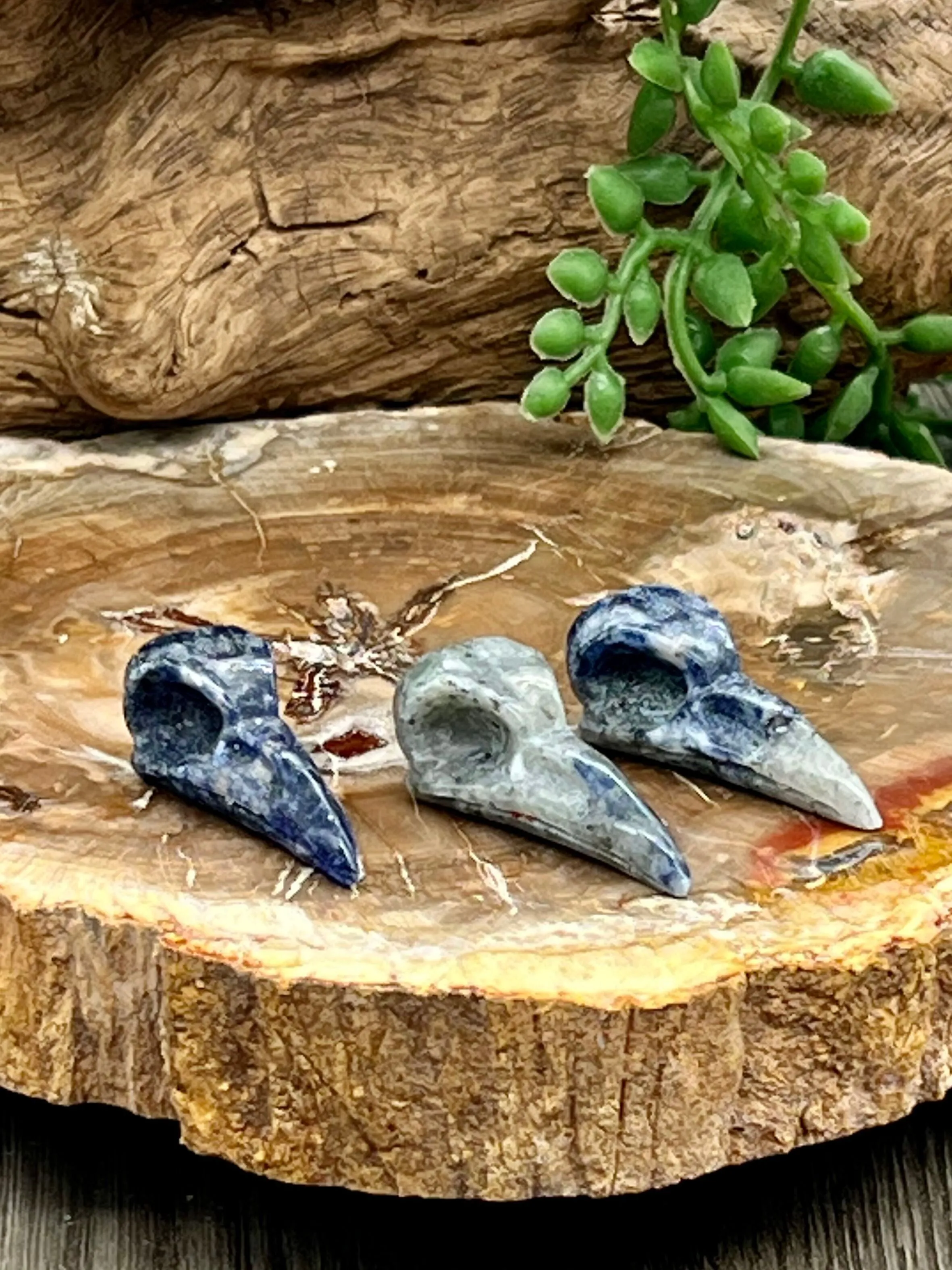 Raven Skull Carving