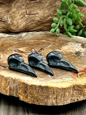 Raven Skull Carving