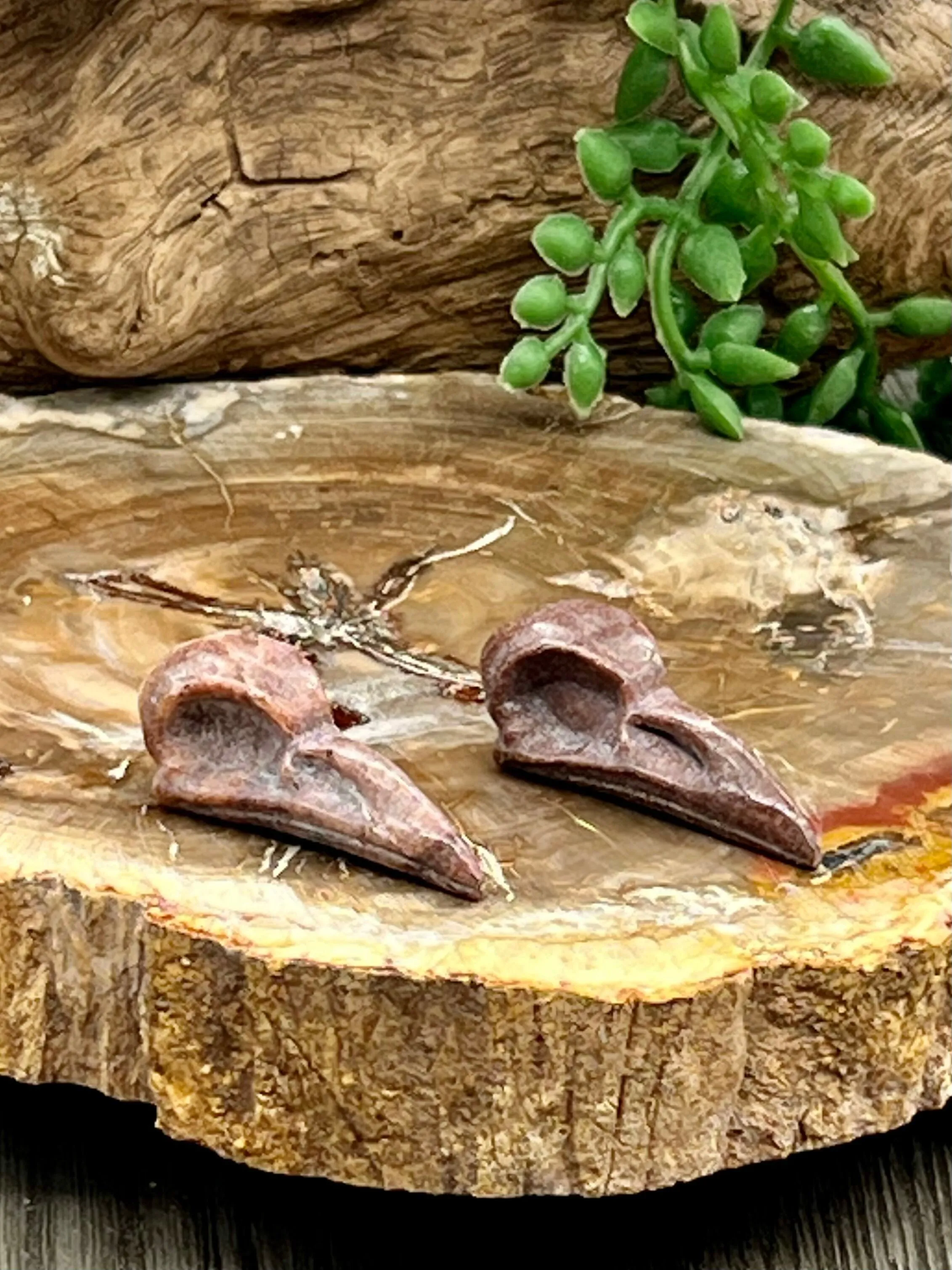 Raven Skull Carving