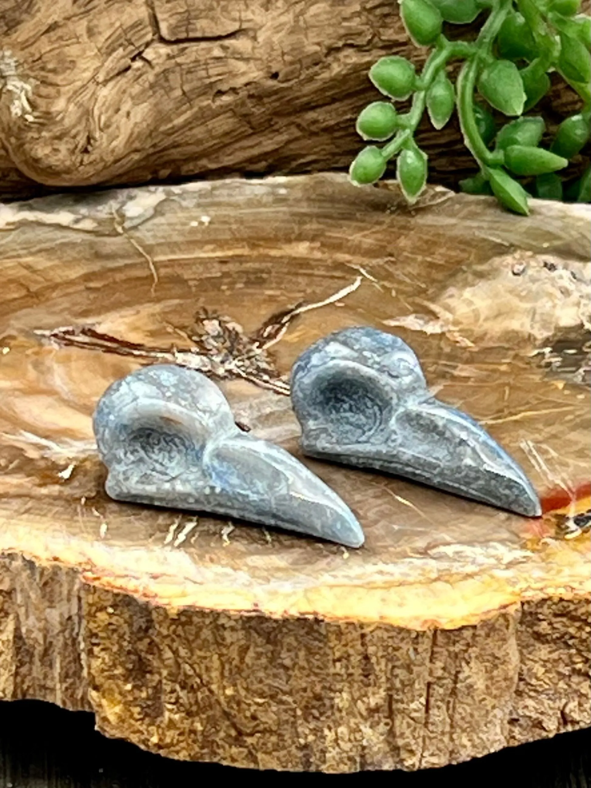 Raven Skull Carving